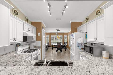 14179 SE 88th Court, Summerfield FL - photo 6 of 6