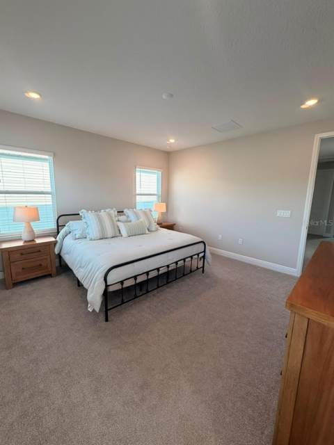 16968 Hamlin Oasis Loop, Winter Garden FL - photo 20 of 35