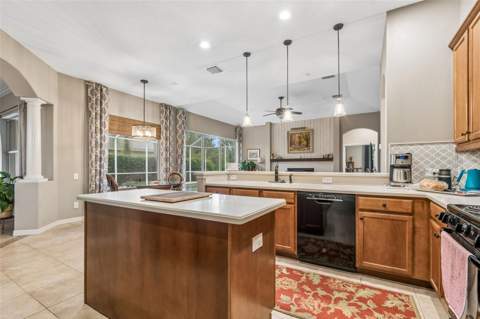23305 Gracewood Circle, Land O Lakes FL - photo 17 of 72