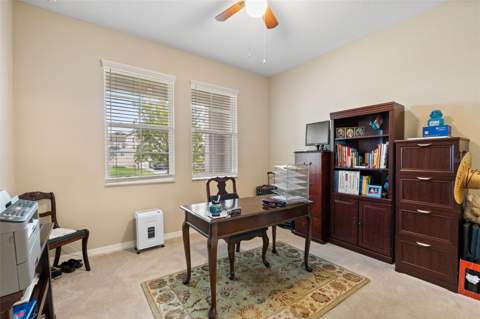 31046 Parrot Reef Court, Wesley Chapel FL - photo 10 of 99