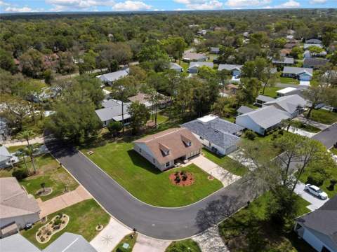 6433 Lost Tree Lane, Spring Hill FL - photo 9 of 39