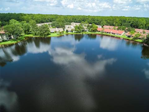 3430 Hillmoor Drive, Palm Harbor FL - photo 21 of 28