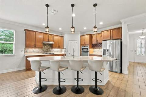 6858 Merrick Landing Boulevard, Windermere FL - photo 7 of 38