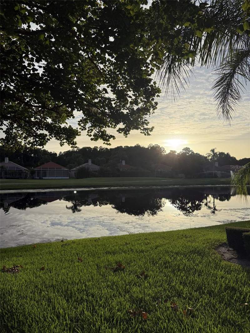 3 bedroom Single Family Residence at 1338 Dartford Drive, Crescent Oaks Country Club 3, Tarpon Springs — photo 2
