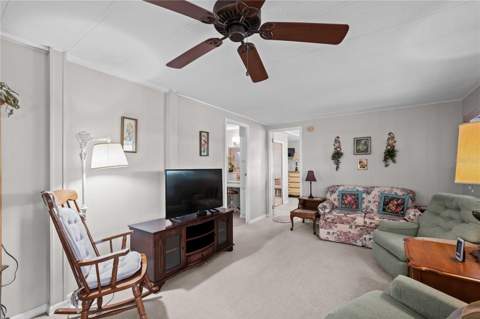 36957 Grace Avenue, Zephyrhills FL - photo 19 of 68