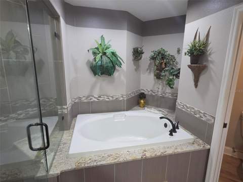 450 Date Palm Court, St Petersburg FL - photo 18 of 40