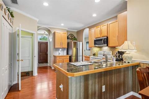 4236 Tarkington Drive, Land O Lakes FL - photo 19 of 39