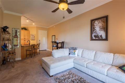 6808 Dali Avenue #105, Land O Lakes FL - photo 15 of 22