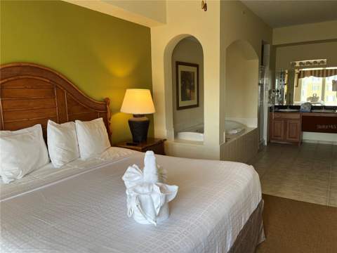 8101 Resort Village Drive #3411, Orlando FL - photo 10 of 29