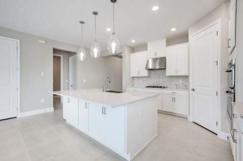 712 Sky Shade Drive, Apollo Beach FL - photo 6 of 6