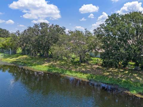 14451 Bay Isle Drive, Orlando FL - photo 22 of 25