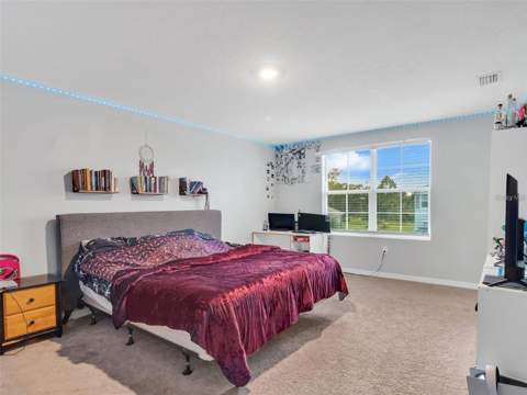 16636 Windmill Forge Pass, Wimauma FL - photo 19 of 40