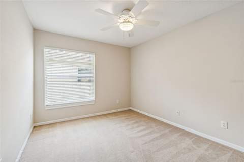 353 Bay Arbor Boulevard, Oldsmar FL - photo 16 of 29
