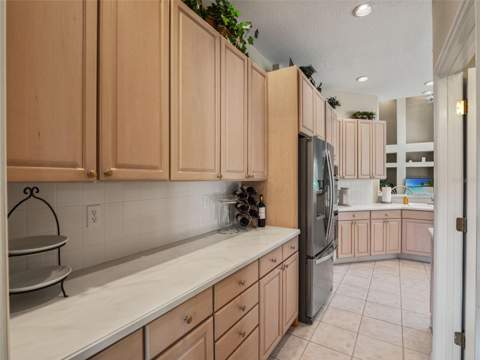 17422 Heather Oaks Place, Tampa FL - photo 16 of 78