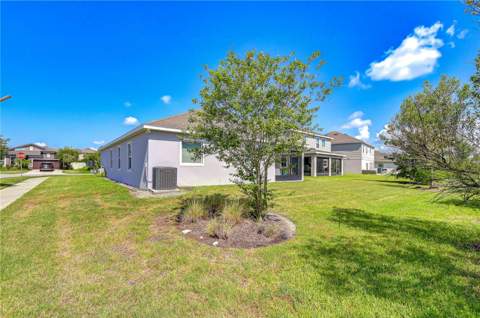 8325 Olive Brook Drive, Wesley Chapel FL - photo 6 of 39