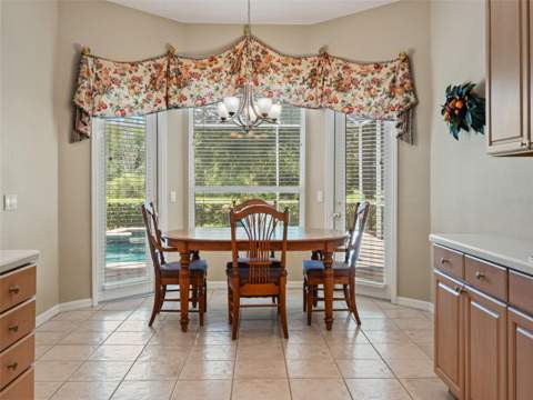 17422 Heather Oaks Place, Tampa FL - photo 20 of 78