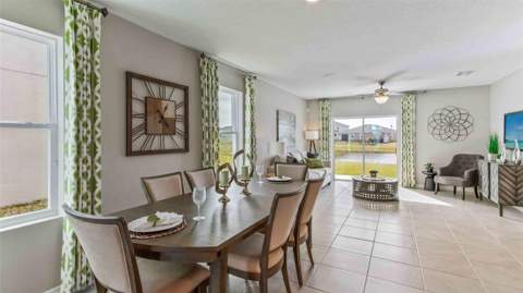 17946 Acorn Drop Road, Land O Lakes FL - photo 7 of 17