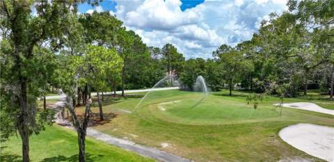 85 Golfview Drive, Homosassa FL - photo 19 of 19