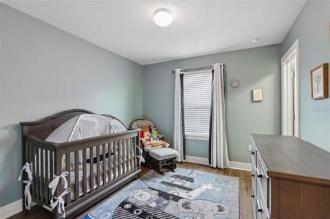 7673 Yale Harbor Drive, Wesley Chapel FL - photo 24 of 38