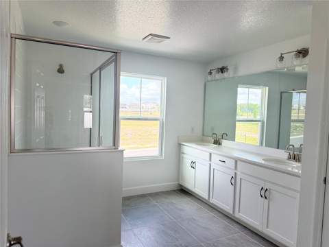 4299 Laurel Site Loop, Apopka FL - photo 14 of 24