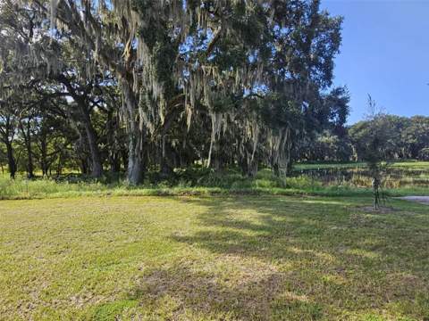 8716 Barragan Drive, Wildwood FL - photo 22 of 24
