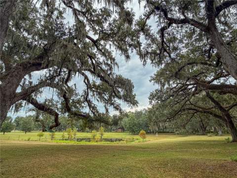 2531 CR 546A, Bushnell FL - photo 6 of 6