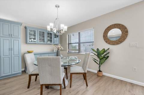 212 Westwinds Drive, Palm Harbor FL - photo 12 of 41