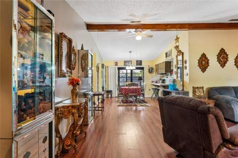 11122 Maderia Street, Spring Hill FL - photo 6 of 6