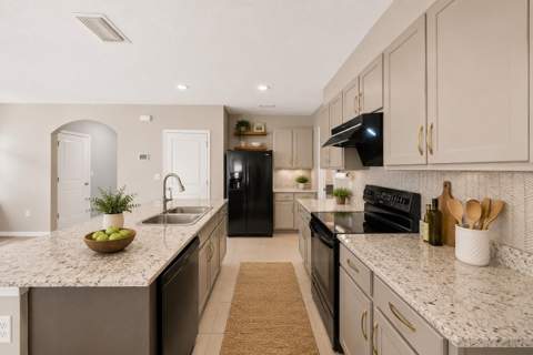 32756 Ansley Bloom Lane, Wesley Chapel FL - photo 9 of 48
