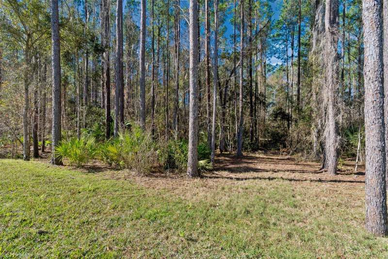 4 bedroom Single Family Residence at 4905 Majestic Hills Loop, Southern Hills Plantation Ph 2, Brooksville — photo 3