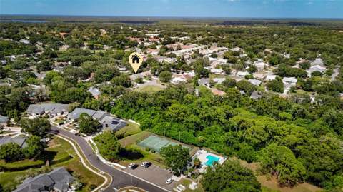 3174 Phlox Drive, Palm Harbor FL - photo 6 of 6