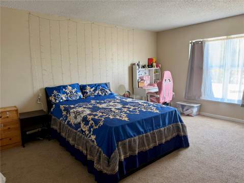 510 Lobelia Drive, Davenport FL - photo 18 of 30