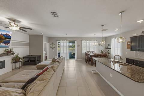 31785 Tansy Bend, Wesley Chapel FL - photo 8 of 59