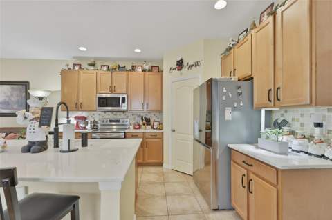 8718 Turnstone Haven Place, Tampa FL - photo 12 of 38
