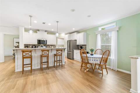 9003 Scott Wilson Lane, Odessa FL - photo 8 of 63