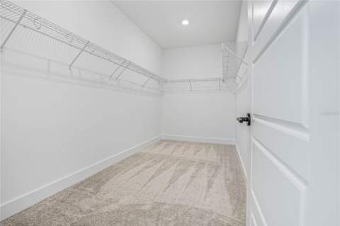 17422 Honeybell Tangelo Court, Winter Garden FL - photo 12 of 42