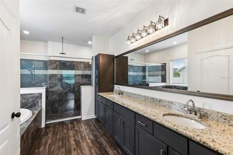 8245 Olive Brook Drive, Wesley Chapel FL - photo 14 of 40