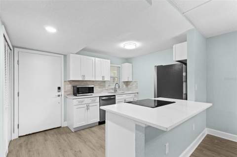 17035 Gulf Boulevard #116, North Redington Beach FL - photo 6 of 6