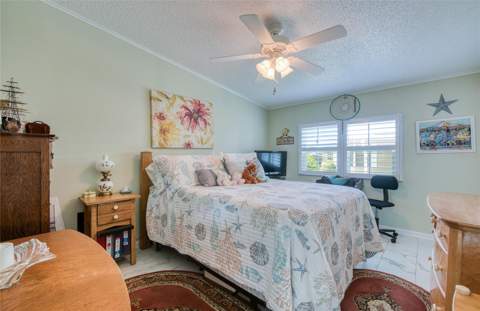 214 Dolphin Drive, Oldsmar FL - photo 20 of 46