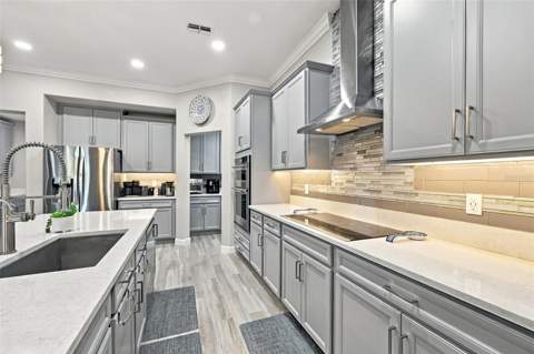 16909 Clear Cork Drive, Wimauma FL - photo 14 of 77