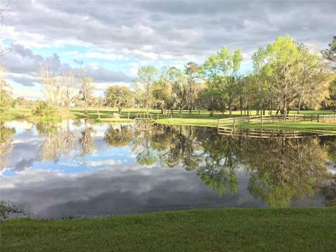 15000 W Hwy 318, Williston FL - photo 7 of 78