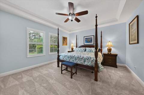 9145 Warm Springs Circle, Parrish FL - photo 23 of 69