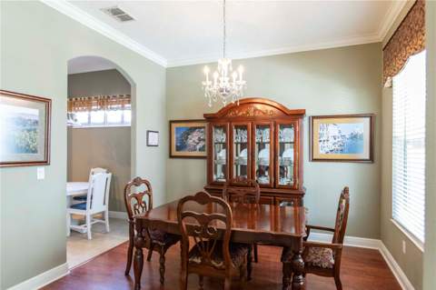 3746 Dogtrot Street, New Port Richey FL - photo 15 of 50
