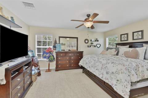 8718 Turnstone Haven Place, Tampa FL - photo 18 of 38