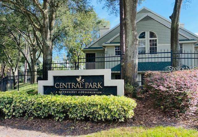 Central Park