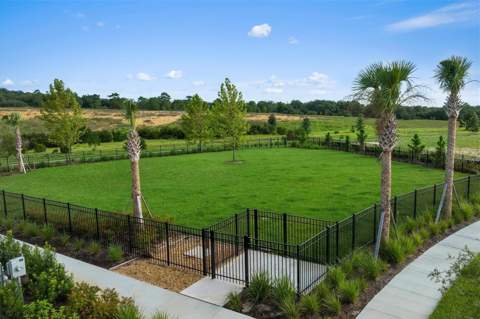 2811 Sweet Acacia Drive, Clermont FL - photo 18 of 19