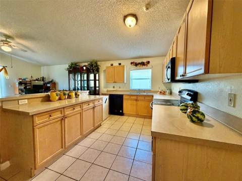 2319 Lily Pad Lane, Kissimmee FL - photo 10 of 36