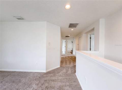 14207 Alistar Manor Drive, Wimauma FL - photo 12 of 27