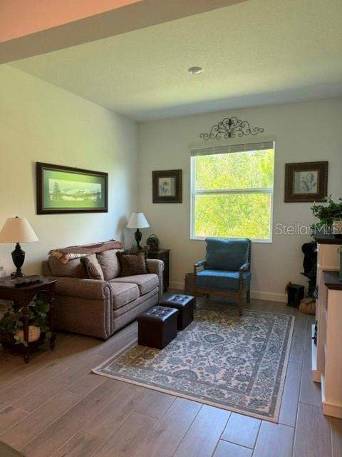 9760 Minnow Ray Drive, Land O Lakes FL - photo 12 of 31
