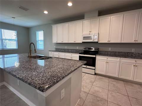4917 Eagle Rock Drive, Wimauma FL - photo 15 of 44